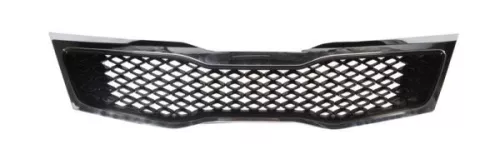 Radiator Grille
