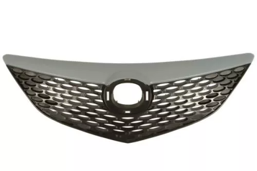 Radiator Grille