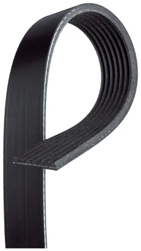 V-ribbed Belt
