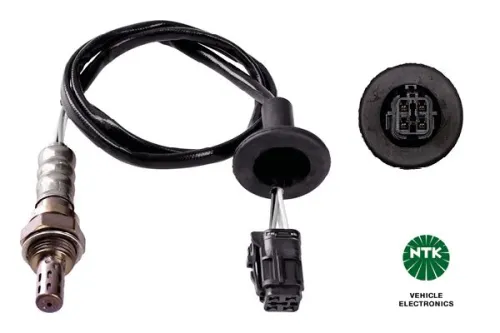 Oxygen Sensor