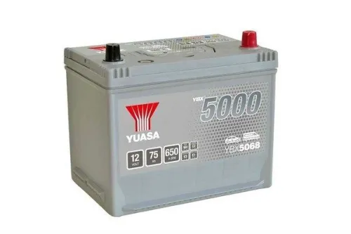 Starter Battery