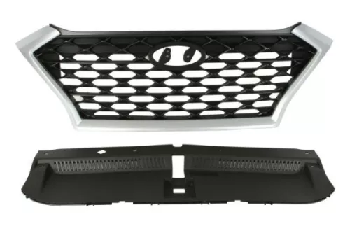 Radiator Grille
