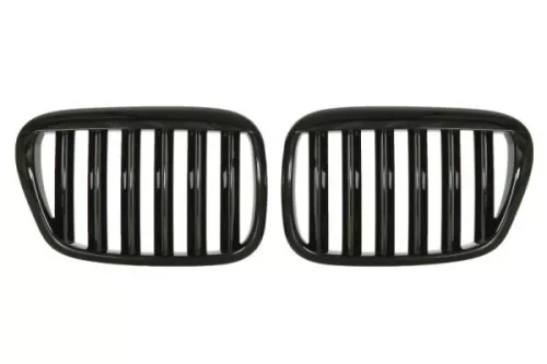 Radiator Grille