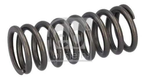 Valve Spring
