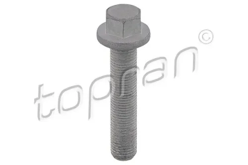 Pulley Bolt