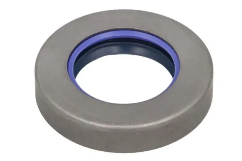 Gasket, differential