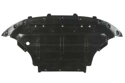Engine Guard/Skid Plate