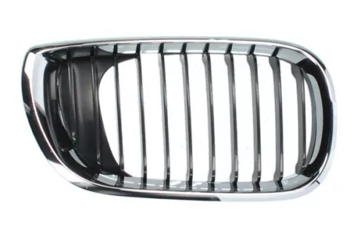 Radiator Grille