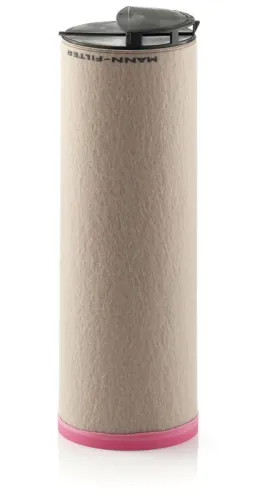 Secondary Air Filter