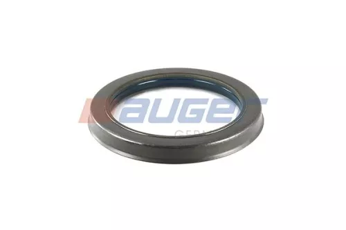 Seal Ring, steering knuckle (leaf spring hanger)