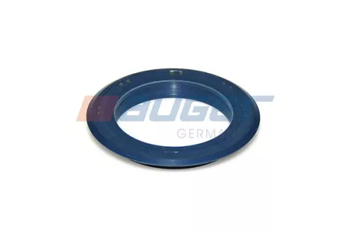 Seal Ring, steering knuckle