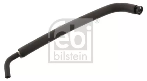 Hose, crankcase ventilation