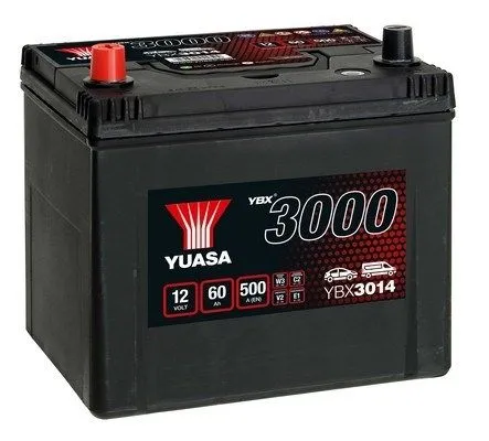 Starter Battery