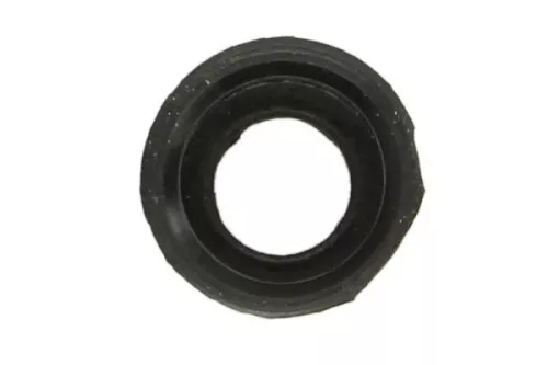 Seal Ring, valve stem