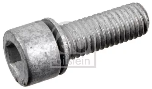 Screw Plug, axle drive