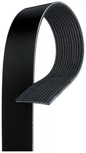 V-ribbed Belt