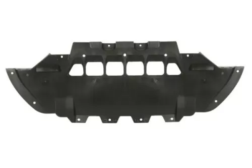Engine Guard/Skid Plate