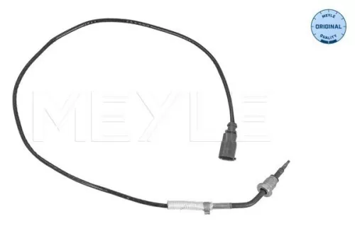 Sensor, exhaust gas temperature