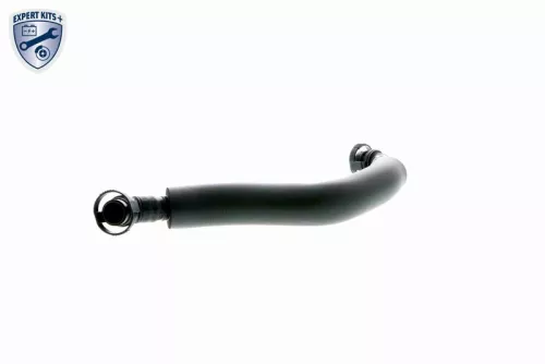 Hose, crankcase ventilation