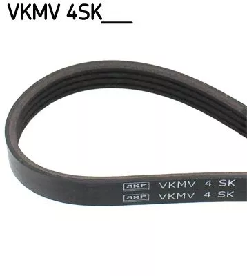 V-ribbed Belt