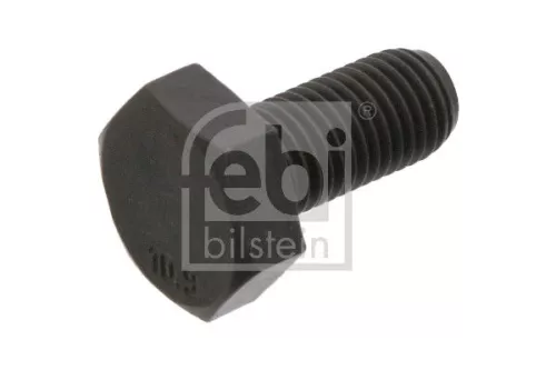 Flywheel Bolt
