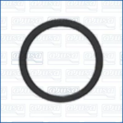Seal Ring, injector