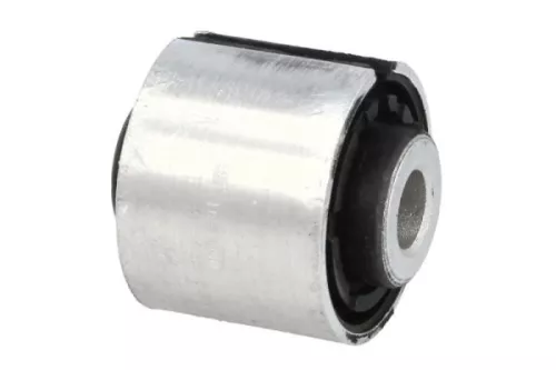 Mounting, axle strut