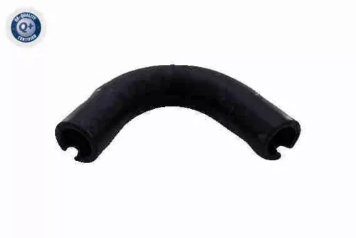 Hose, crankcase ventilation