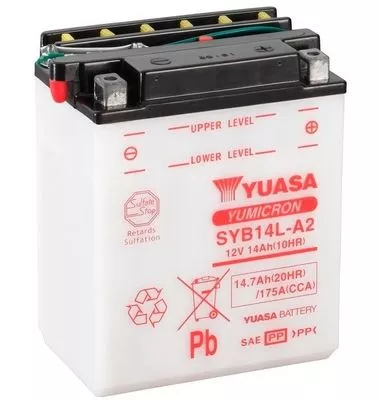 Starter Battery