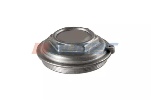 Cap, wheel bearing