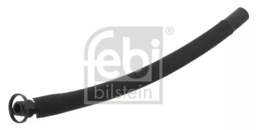 Hose, crankcase ventilation