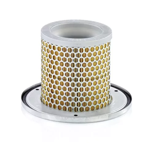 Secondary Air Filter