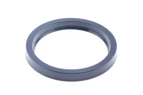 Seal Ring