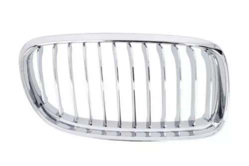 Radiator Grille