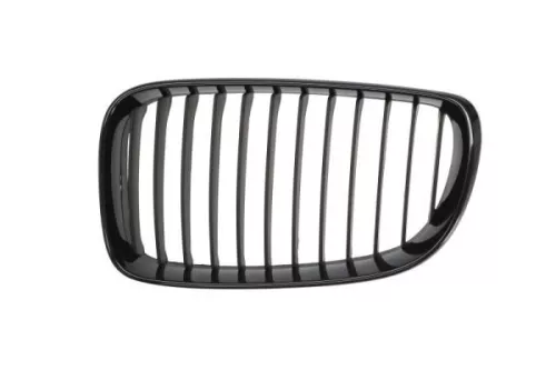 Radiator Grille