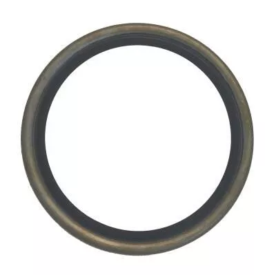 Seal Ring, steering knuckle