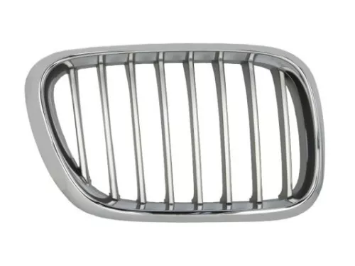 Radiator Grille