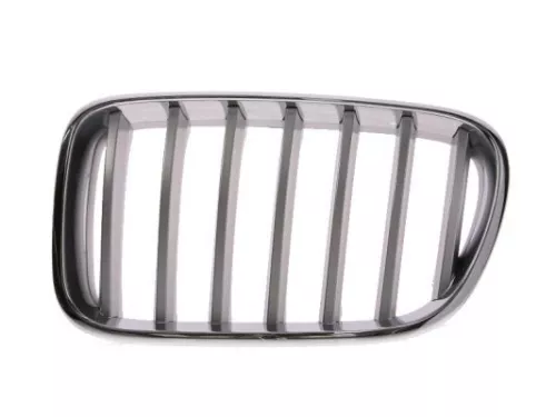 Radiator Grille