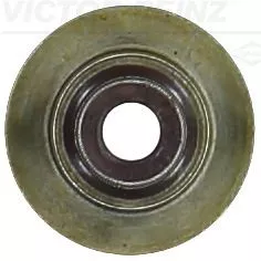 Seal Ring, valve stem