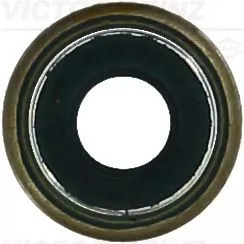 Seal Ring, valve stem