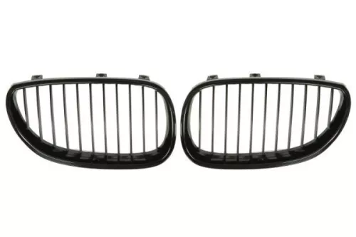 Radiator Grille
