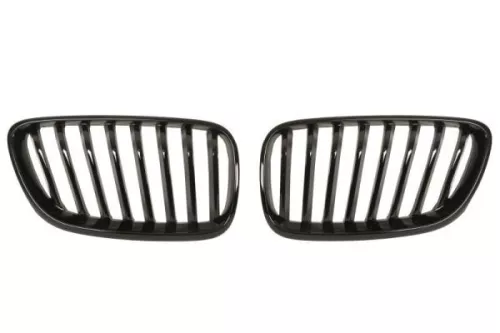 Radiator Grille
