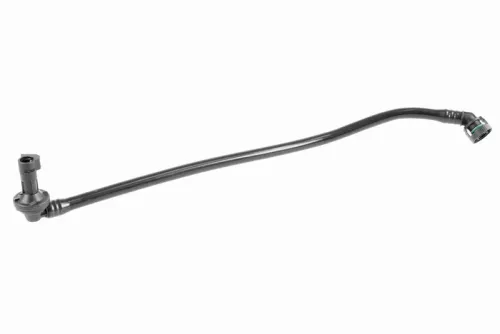 Hose, crankcase ventilation