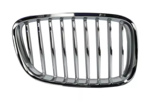 Radiator Grille