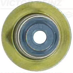 Seal Ring, valve stem
