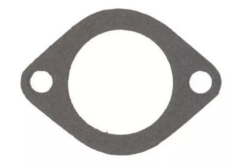 Gasket, thermostat housing