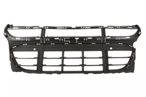 Radiator Grille