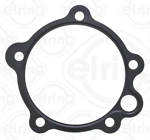 Gasket, timing case