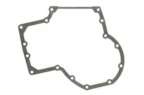 Gasket, timing case cover