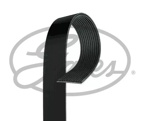 V-ribbed Belt